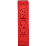 Schwarzkopf - Igora Royal - Haarverf - 3-65 - Permanent - Kleurcrème