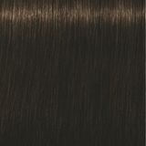 Schwarzkopf - Igora Royal - Haarverf - 4-63 - Permanent - Kleurcrème