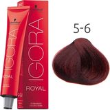 Schwarzkopf - Igora Royal - Haarverf - 5-6 Light Brown Chocolate - Permanent