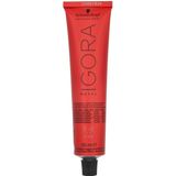 Schwarzkopf - Igora Royal - Permanent Color Creme - 6-6 - Haarverf