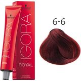 Schwarzkopf - Igora Royal - Permanent Color Creme - 6-6 - Haarverf