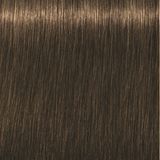 Schwarzkopf - Igora Royal - Haarverf - 6-63 - Permanente Kleurcreme