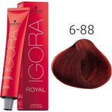 Schwarzkopf - Igora Royal - Haarverf - 6-88 - Permanent - Crème