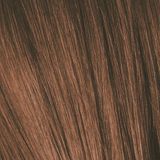 Schwarzkopf Professional IGORA Royal Haarkleuring Tint 8-0 Light Blonde Natural 60 ml