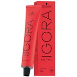 Schwarzkopf - Igora Royal - Haarkleuring - 6-0 - 60 ml