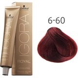Schwarzkopf - Igora Royal Absolutes - Haarverf - 60ml