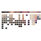 Permanente Kleur Igora Royal Schwarzkopf 10 1