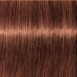 Schwarzkopf - Igora Royal - Permanente Kleurcrème - Middelblond Koper Choco Beige - 60 ml