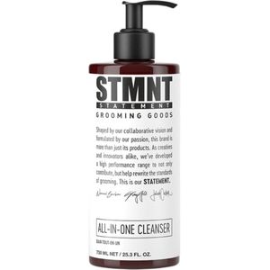 STMNT - All-In-One Cleanser - 250ml - Geactiveerde Houtskool - Menthol