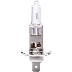 019352 Halogen Leuchtmittel H1 55 w 12 v - IWH