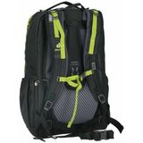 Deuter Cotogy Rugzak 46 cm ivy strokes