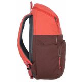 Deuter Overday 15L Rugzak 41 cm raisin-currant