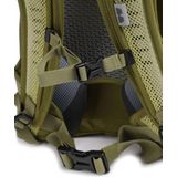 Deuter AC Lite 17 Rugzak 48 cm linden-cactus