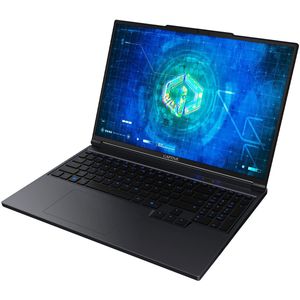 Captiva Advanced Gaming I91-962 Core i9 GeForce RTX 5050 (16", 1000 GB, 33.55 GB, DE, Intel Core i9-13900HX), Notebook, Zwart