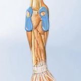 Bauerfeind Epitrain Elleboogbrace / Elleboogbandage-Maat 5: 31 â€“ 33 cm