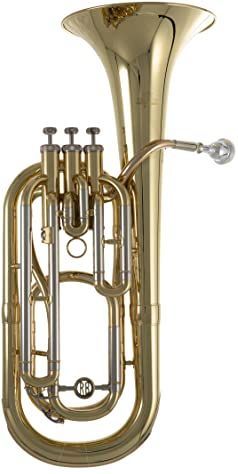 Roy Benson Bb-Bariton BH-301 (Zeer nauwkeurige boring 12,8-13,5 mm, Ø 21 cm koperen bel, 3 top action ventielen, in een lichtgewicht, transportvriendelijk gevormde koffer)