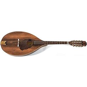 GEWA Mandola Pro Arte Antique