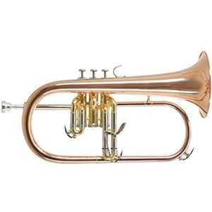 Roy Benson Bb-Flügelhorn FH-302G (mit 11mm MS Bohrung, Goldmessing Schallstück, Edelstahl Ventilen, inkl. leichtem Rechtecketui, mit Rucksackfunktion, Größe: 6""), lackiert