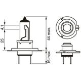 Dimlichten - H7 - 12 Volt - 55 Watt
