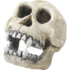 Aqua Della - Aquarium Decoratie - Chimpanzee 16cm - 1st