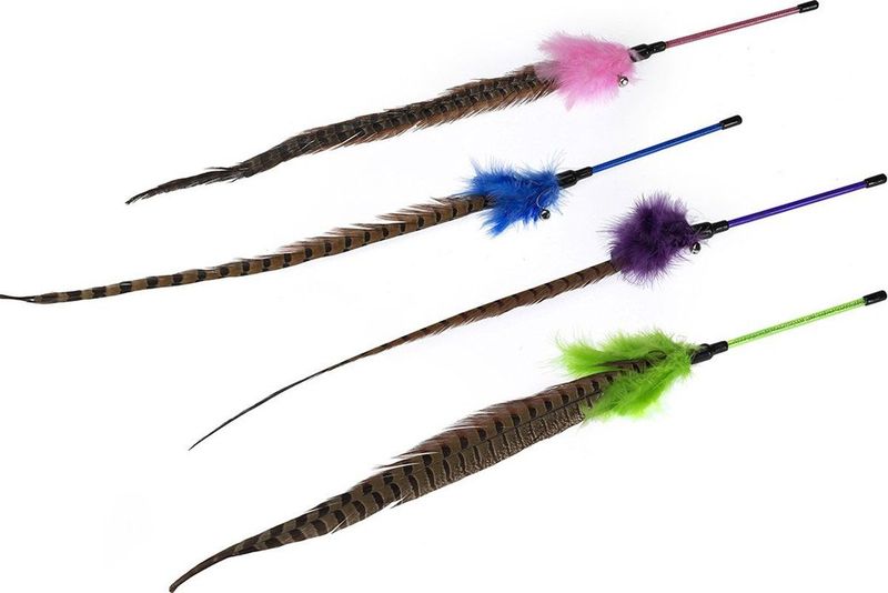 Ebi Fishing Rod Ted 60CM
