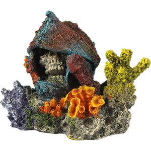 Aqua D'ella Verdwaalde schedel