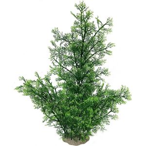 Phoenix XL - 56 cm groen