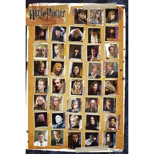 1art1 Harry Potter Poster 7, And The Deathly Hallows, Characters Affisch Print Plakkaat 91x61 cm