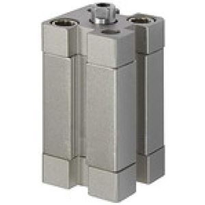 RIEGLER 155353-15.DMI.20050 compacte cilinder, dubbelwerkend, IG, K-Ø 20, hub 50, M5, ISO21287, 1 st.