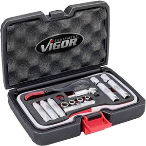 ViGOR - Remontluchter Set - 17-delig - Voor Ontluchting van Remleidingsystemen