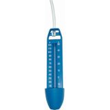 Summer Fun Thermometer budget