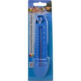 Summer Fun Thermometer budget
