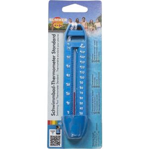 Summer Fun Thermometer budget