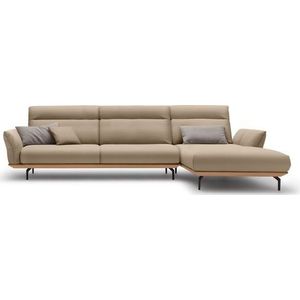Creation BY ROLF BENZ Ecksofa »CR.460«, Sockel in Eiche, Winkelfüße in Umbragrau, Breite 338 cm