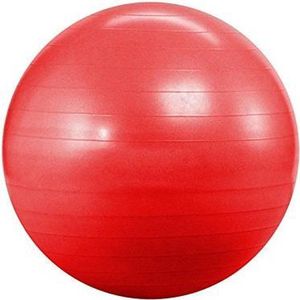 V3tec nos gymnastik ball,rot in de kleur rood.