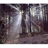 Zeiss - Planar T* 50mm F/2.0 - Camera Lens - Zwart