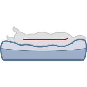 Trixie - Vitaal Matras Bendson - Maat: 80x60x10