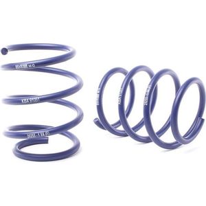 H&R Verlagingsveren Bmw 7 E65 735i/745i/730d Incl.niv.reg. Bmw H&R Hr 293312