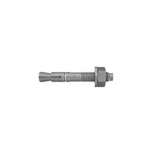 fischer FBN II schroeven, thermisch verzinkt, 12/5 K, 508014