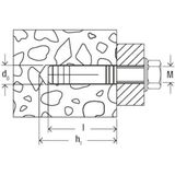 Fischer MS 8 x 28 K NV Messingplug 28 mm 532738 1 set(s)