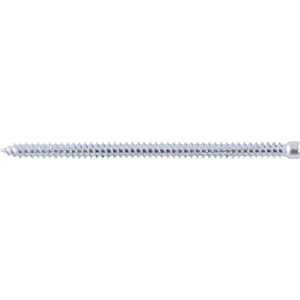 Fischer 532916 FFSZ Kozijnschroef met cilindrische kop TX30 - 7,5 x 182mm (100st)