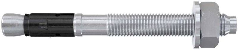 Fischer 564606 schroefanker & muurplug 5 stuk(s) 235 mm