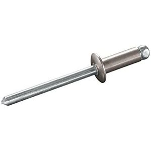 GOEBEL® - 500 x Blindklinknagels (Ø x L) 4,8 x 19 mm - Monel® verzinkt / Staal verzinkt - Vlakke kop - STANDARD - 7032248190 - Popnagel