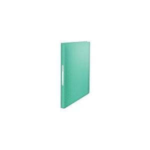 Esselte A4 Showalbum met 80 Hoezen, Capaciteit van 160 Vellen, Voor Het Presenteren en Bewaren van Papieren en Documenten, Voor Thuis en op Kantoor, Reliëfpatroon, Colour'Breeze, Groen, 626238