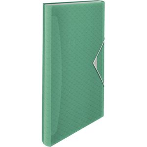 Esselte A4 Uitzetbare Projectmap, Organiser met 5 Tabbladen/6 Vakken, Voor Thuis en op Kantoor, Reliëfpatroon, Colour'Breeze Assortiment, Groen, 626253