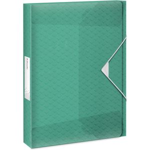 5 x Esselte Ablagebox Colour'Ice A4 PP 40mm grün
