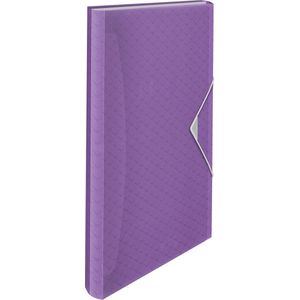 Esselte  Colour'Breeze A4 Uitzetbare Projectmap - Organiser met 5 Tabbladen/6 Vakken - Lavendel