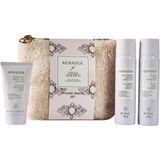 Kerasilk - Styling Travel Set - Gladmakende Föhncrème en Hairspray - Beperkte Holiday Editie