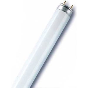 Leuchtstoffröhre fluora - T8, 77 Fluora - 30W (895mm) - Osram