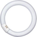 OSRAM - Lumilux-Lamp - Ringvorm - Wit - 40W - G10q